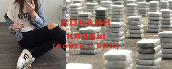 прущие крисы Кулебаки