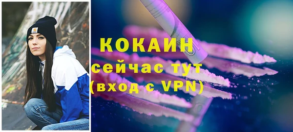 ALPHA PVP Коряжма