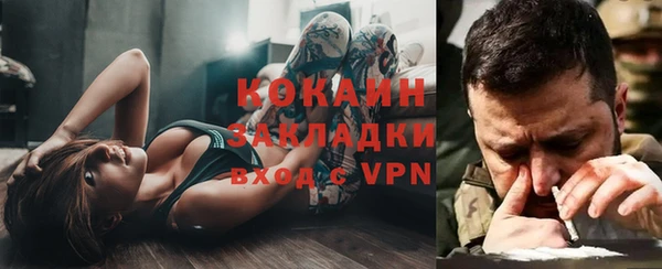 дживик Краснослободск
