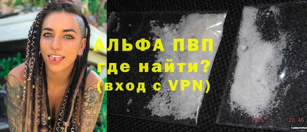 дживик Краснослободск