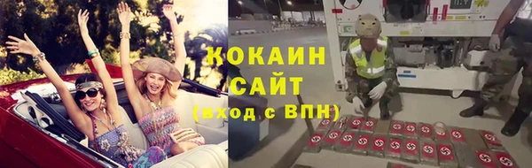 прущие крисы Кулебаки