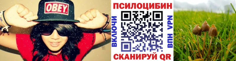 Купить закладки  Вольск  Псилоцибиновые грибы Cubensis 